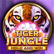 Slot Game C với RTP 96%